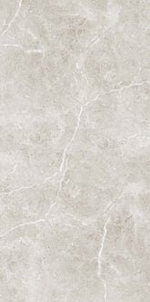 OB6304P OCEAN SILVER POLISHED 300X600